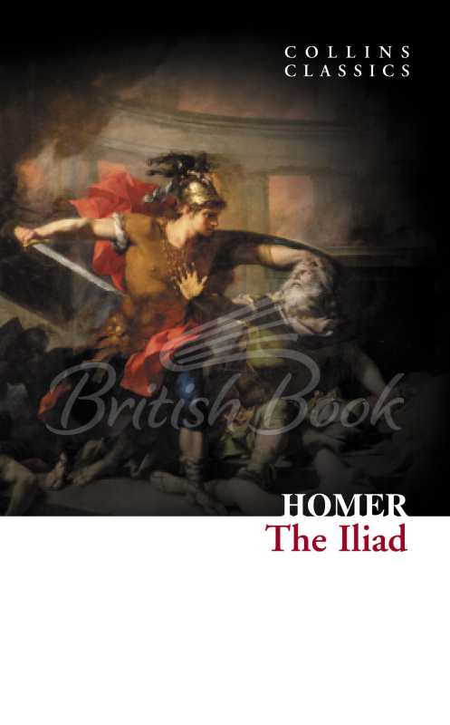 Книга The Iliad зображення