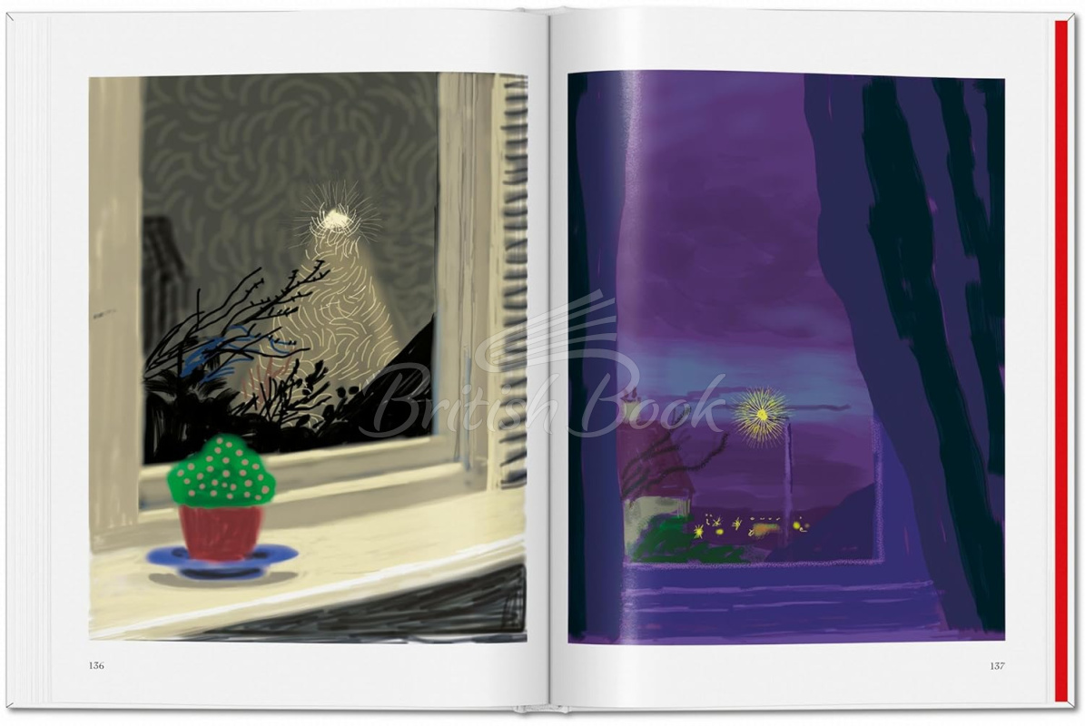 Книга David Hockney: My Window зображення 11