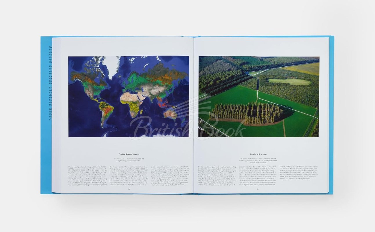Книга Tree: Exploring the Arboreal World зображення 9