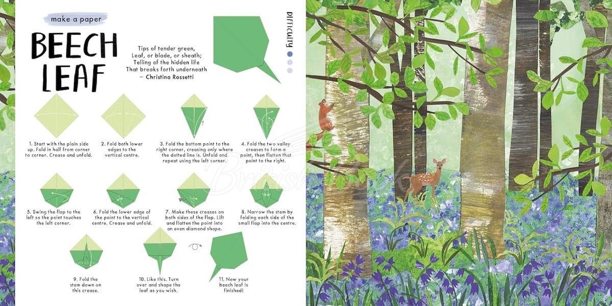 Книга National Trust: Blossom Origami зображення 4