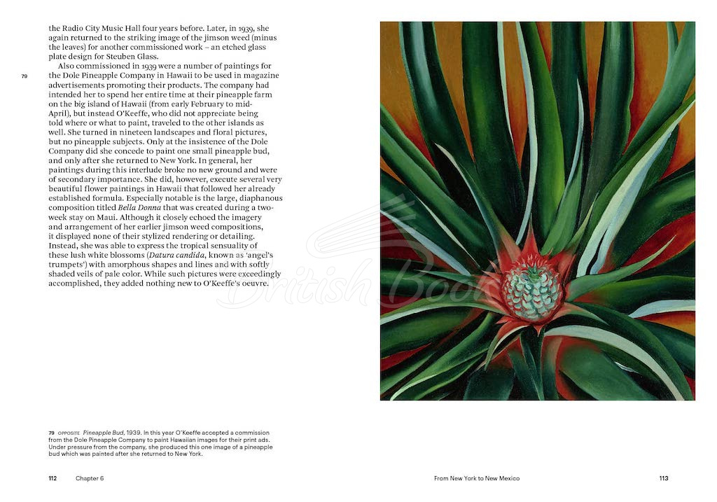 Книга Georgia O'Keeffe зображення 10
