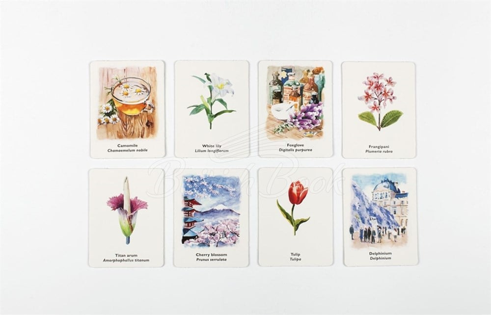 Карткова гра Pick a Flower: A Memory Game зображення 4