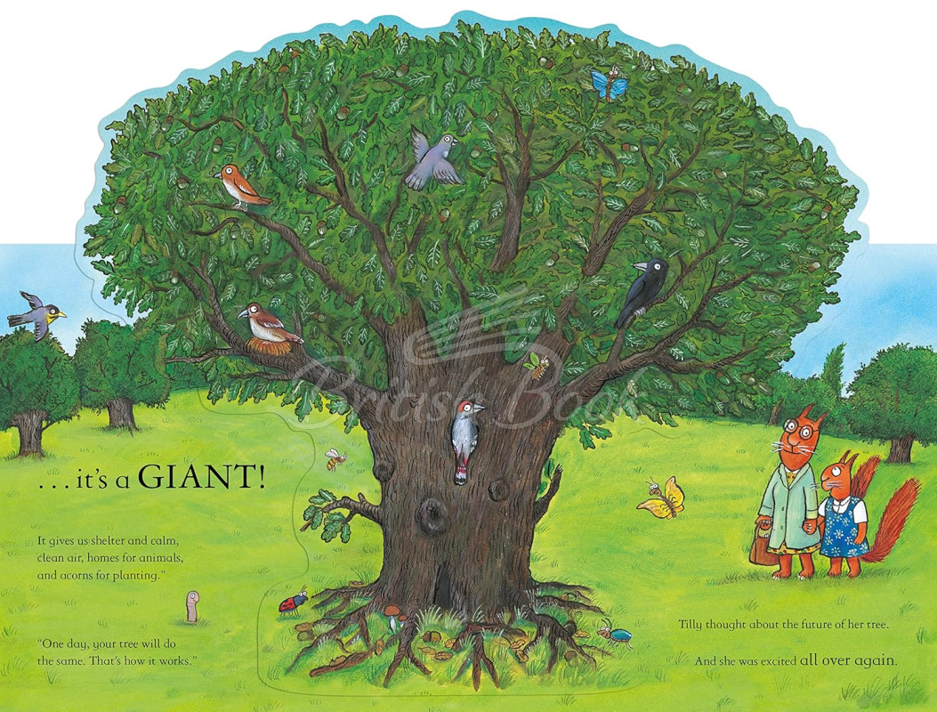 Книга National Trust: Tilly Plants a Tree зображення 6
