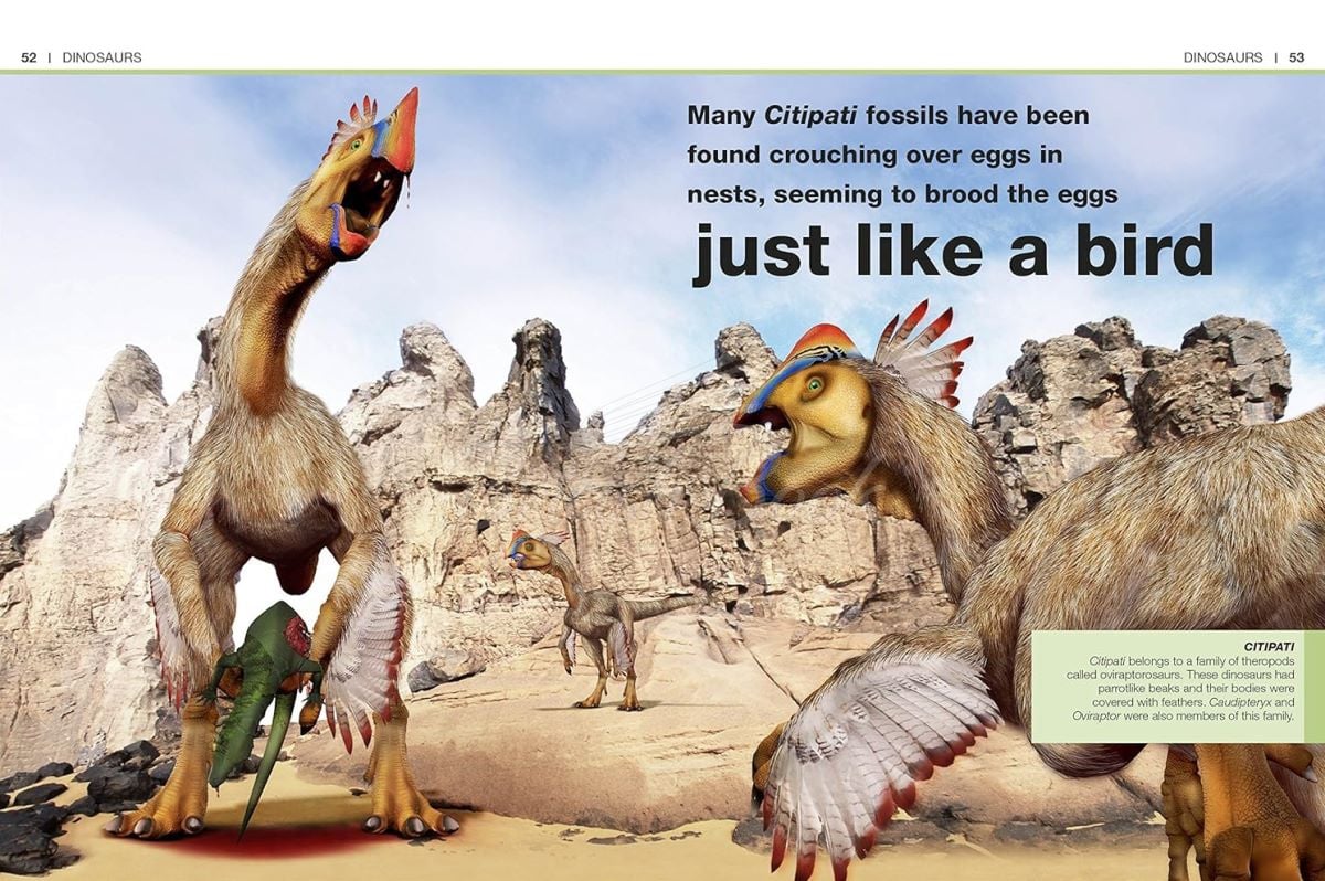 Книга Dinosaurs изображение 4