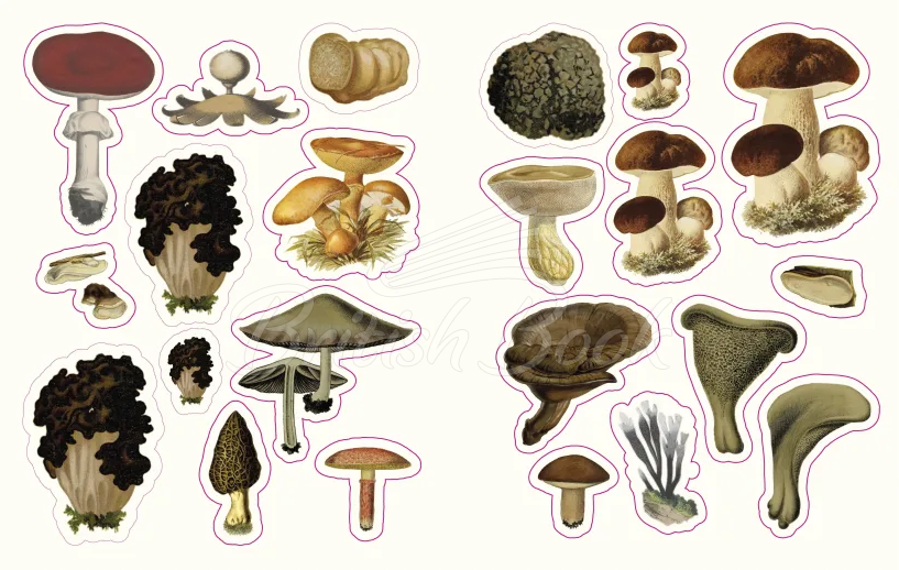 Книга The Forests, Fairies, and Fungi Sticker Anthology изображение 4