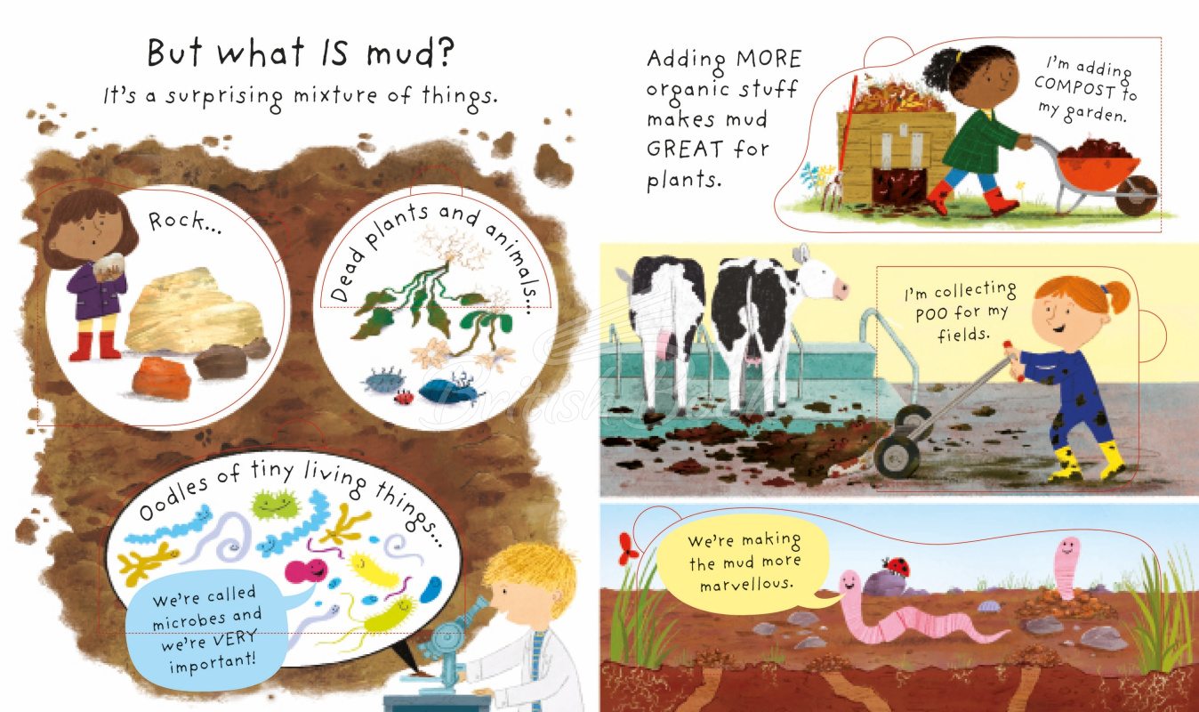 Книга Lift-the-Flap Very First Questions and Answers: What is Mud? зображення 3