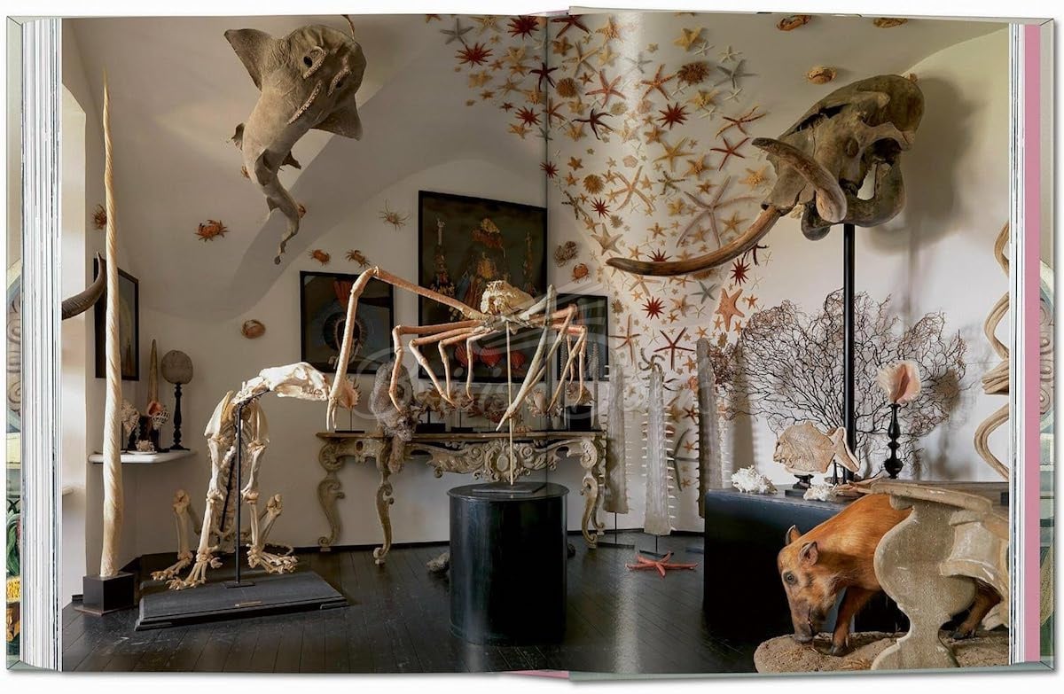 Книга Massimo Listri. Cabinet of Curiosities изображение 8