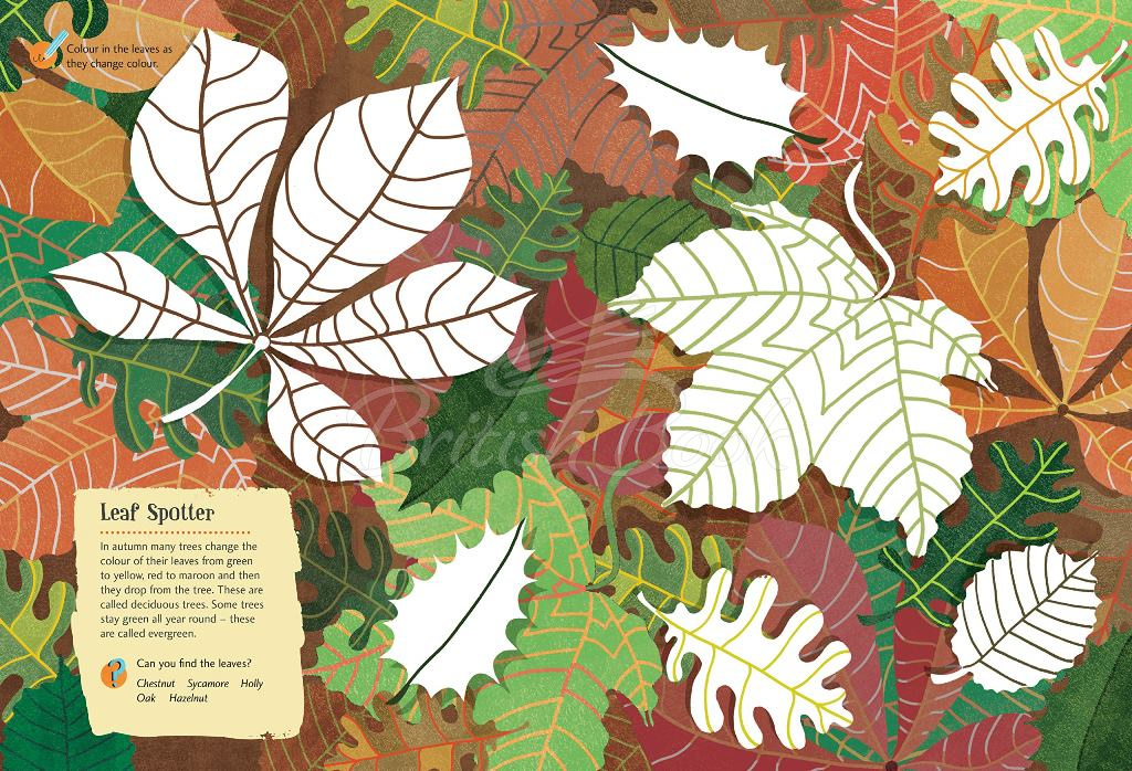 Книга Tree Explorer Nature Sticker and Activity Book зображення 2