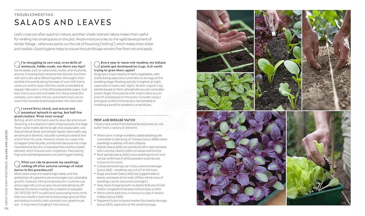 Книга RHS Step-by-Step Veg Patch: A Foolproof Guide to Every Stage of Growing Fruit and Veg изображение 6