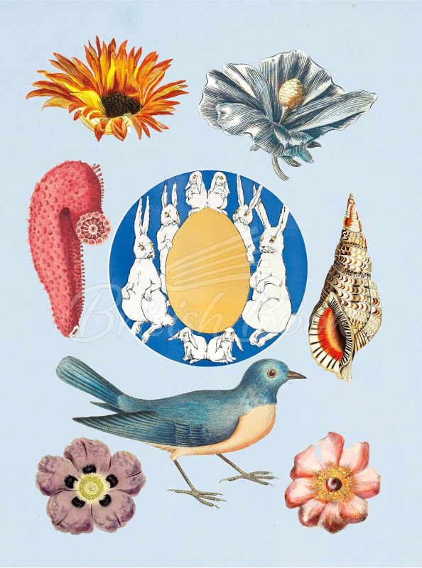 Книга The Antiquarian Sticker Book изображение 3