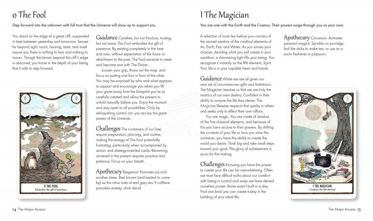 Карти таро Elemental Power Tarot зображення 12
