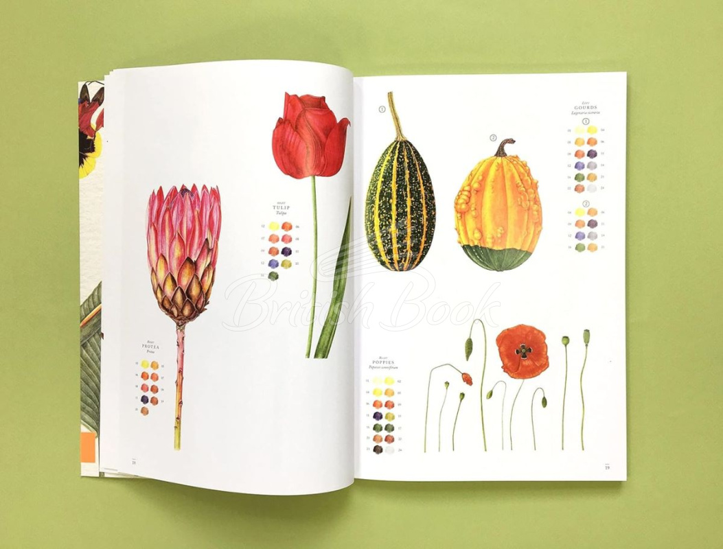 Книга RHS Flowers: The Watercolour Art Pad зображення 4