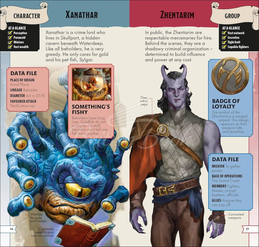 Книга Dungeons & Dragons Pocket Expert изображение 7