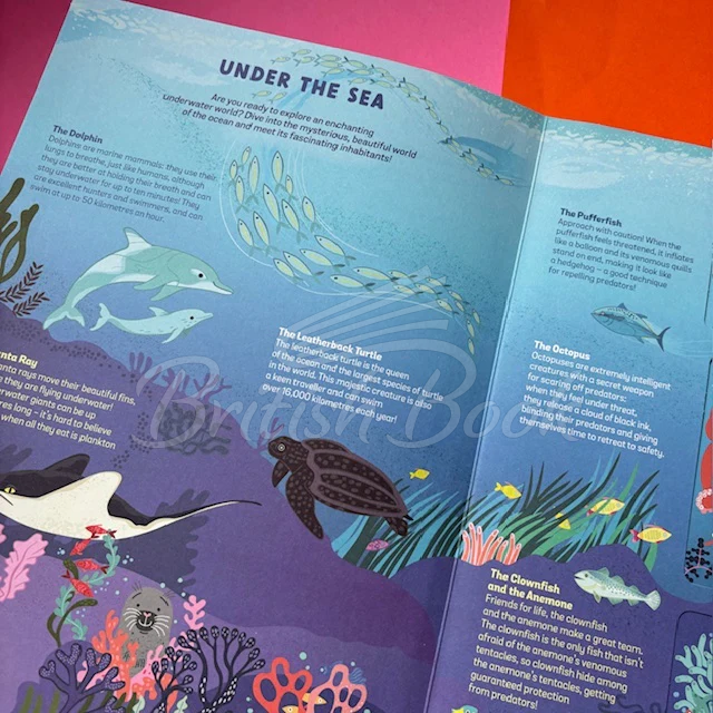 Книга Wild Animals зображення 8