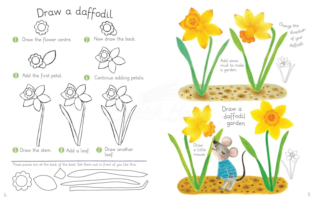 Книга Let's Draw Flowers, Trees & PLants изображение 1