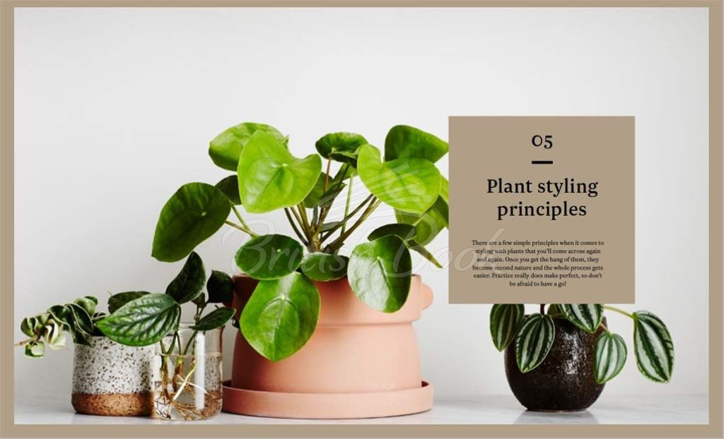 Книга Plant Style изображение 6