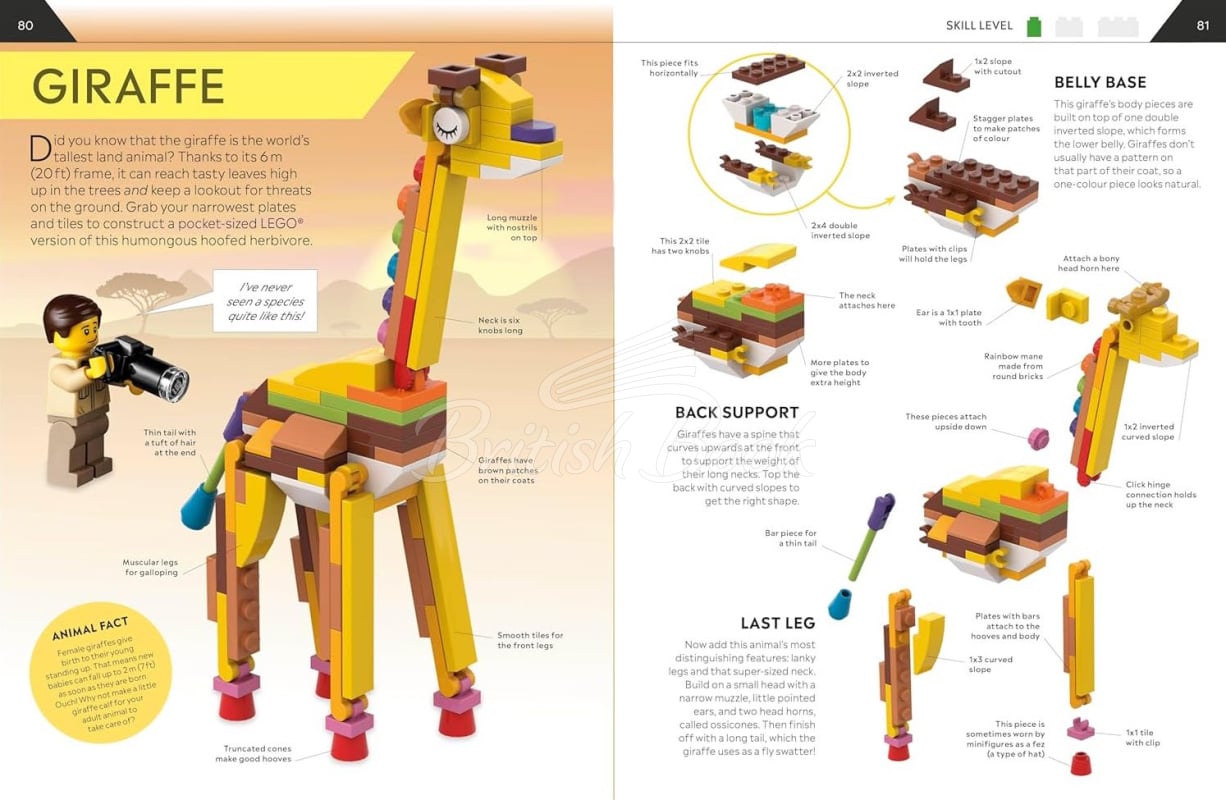 Книга LEGO How to Build Everything! зображення 4