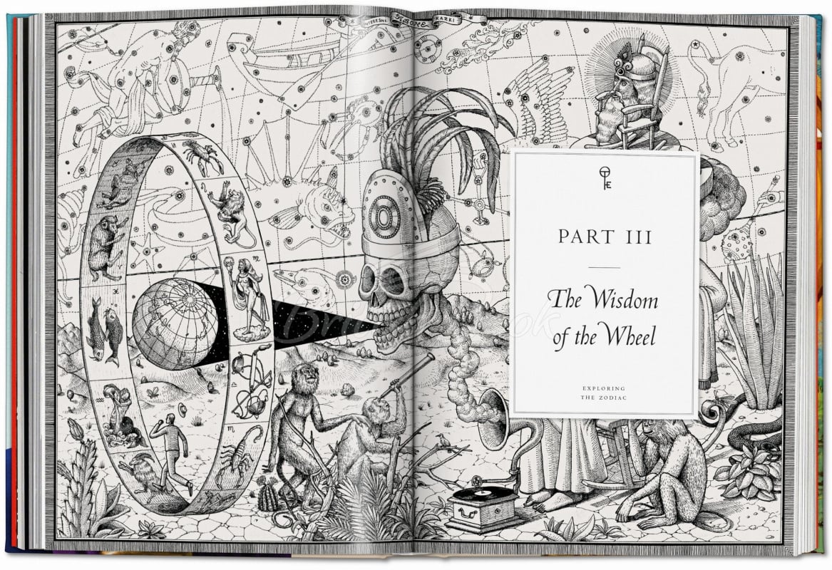 Книга Astrology. The Library of Esoterica зображення 4