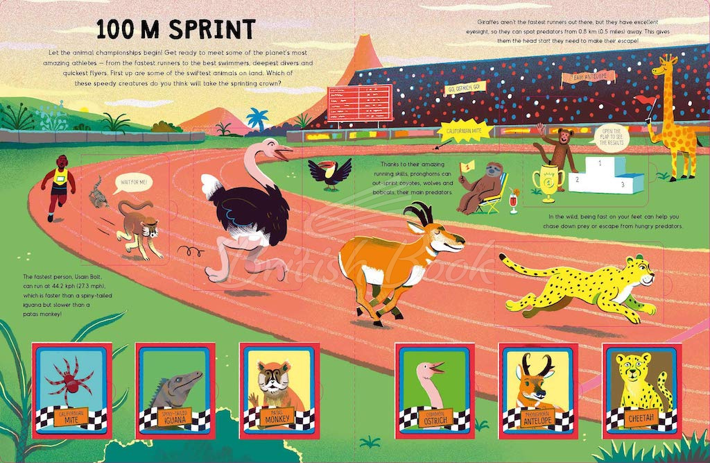 Книга Animal Championships зображення 1