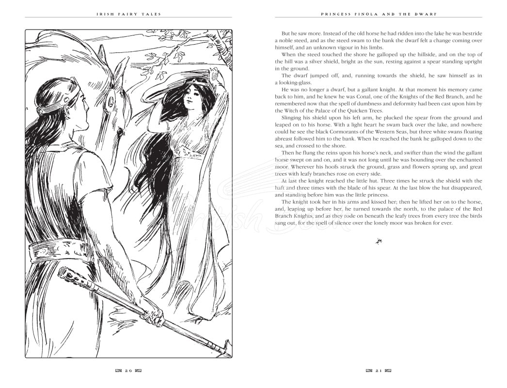 Книга Irish Fairy Tales зображення 3