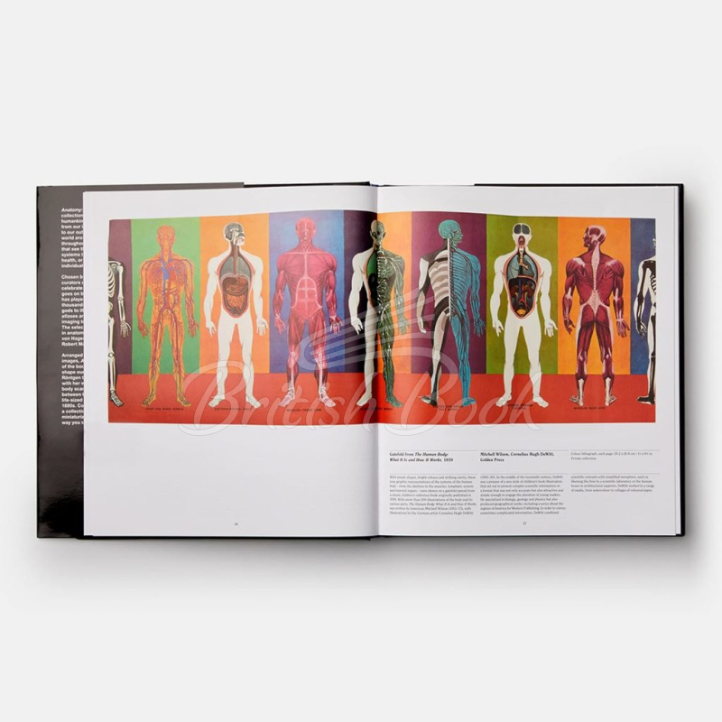 Книга Anatomy: Exploring the Human Body зображення 4