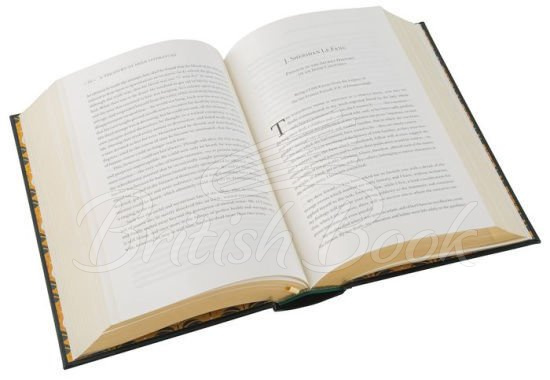 Книга A Treasury of Irish Literature зображення 5