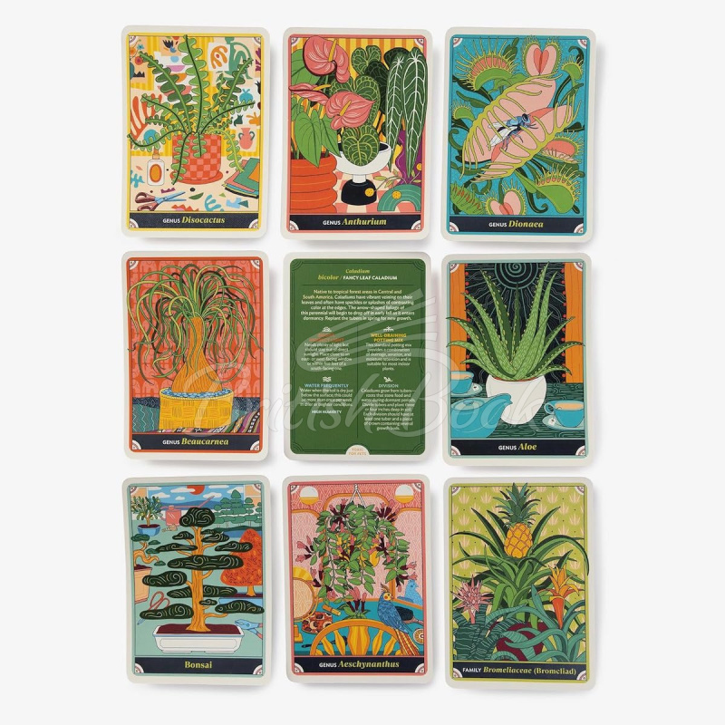 Картки The Happy Houseplant Deck зображення 4
