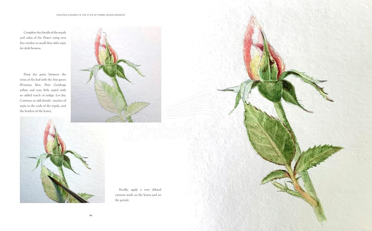 Книга The Kew Gardens Botanical Artist: Learn to Draw and Paint Flowers in the Style of Pierre-Joseph Redouté	 изображение 2