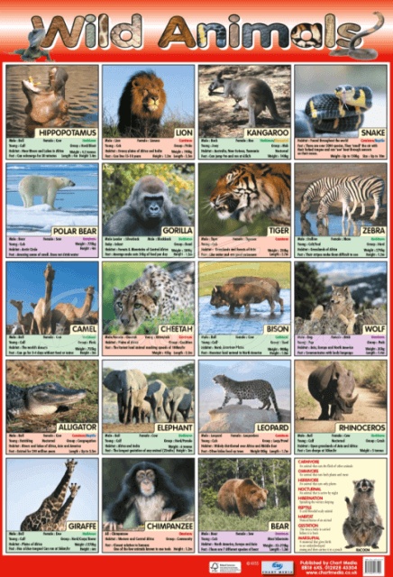 Плакат Wild Animals Poster зображення