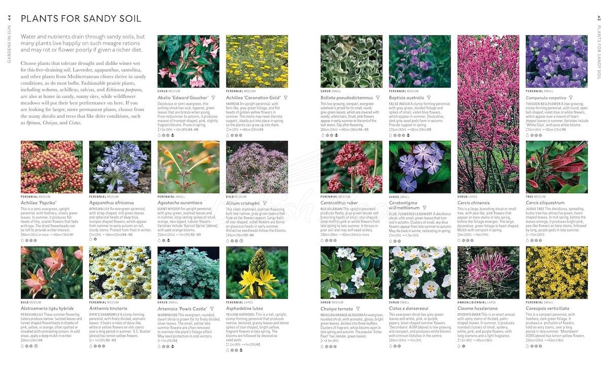 Книга RHS What Plant Where Encyclopedia изображение 4