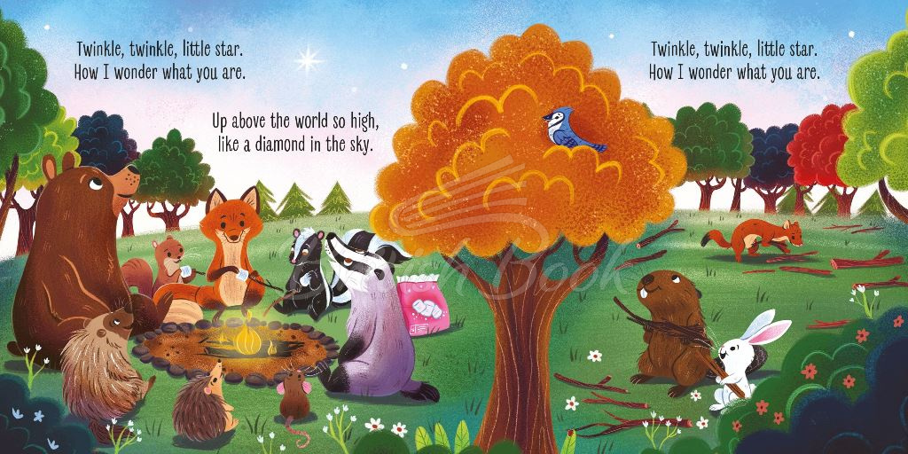 Книга Twinkle, Twinkle Little Star изображение 3