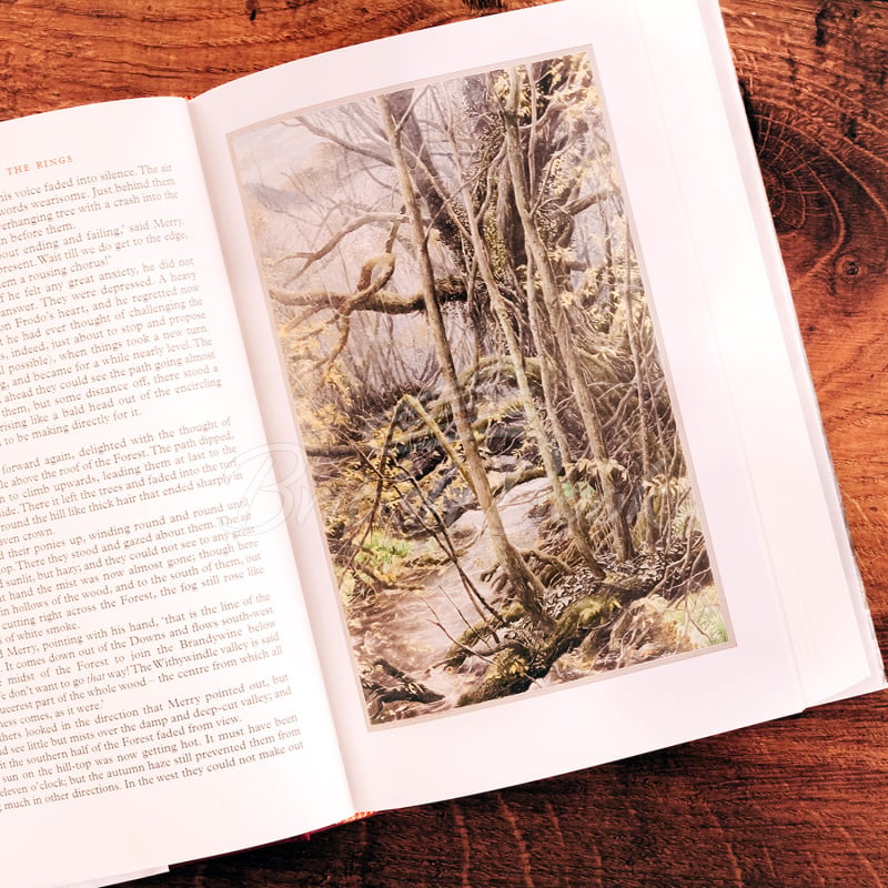 Книга The Fellowship of the Ring (Illustrated Edition) изображение 4