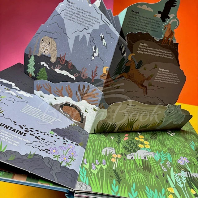 Книга Wild Animals зображення 5