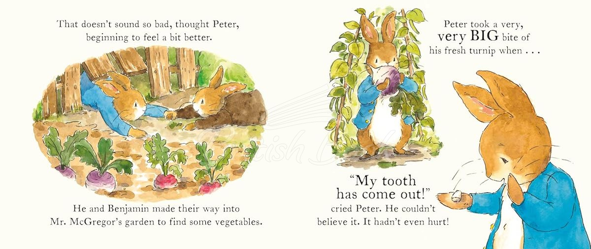Книга Peter Rabbit: The Tooth Fairy зображення 3