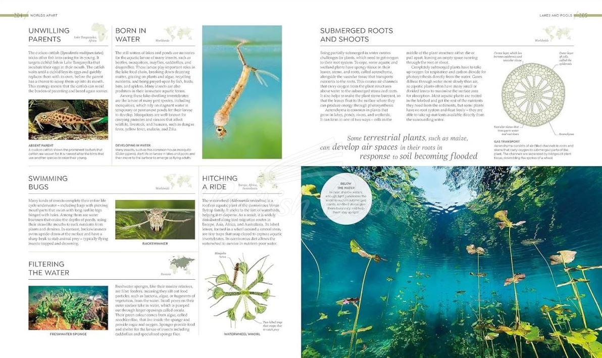 Книга Habitats изображение 11