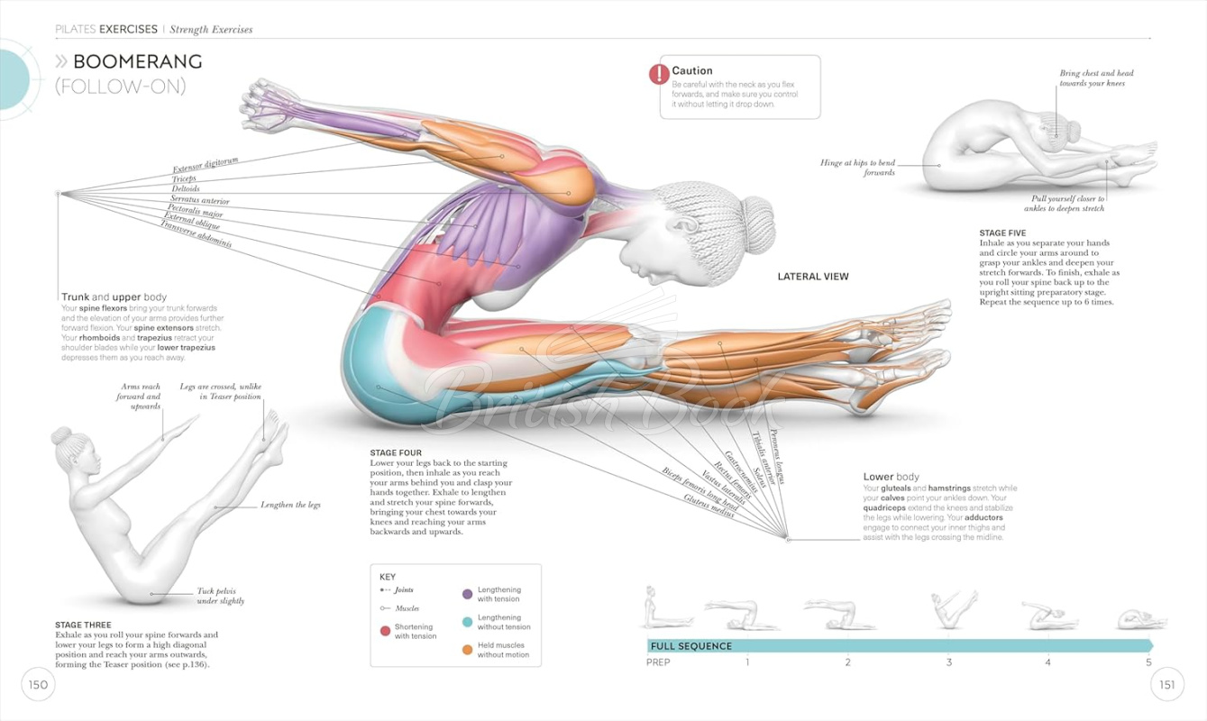 Книга Science of Pilates зображення 4
