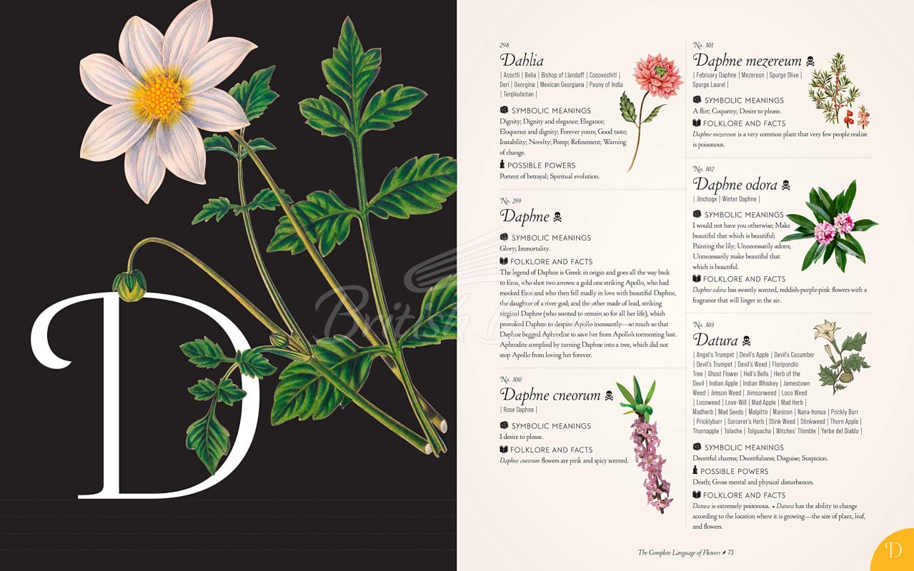 Книга The Complete Language of Flowers зображення 2