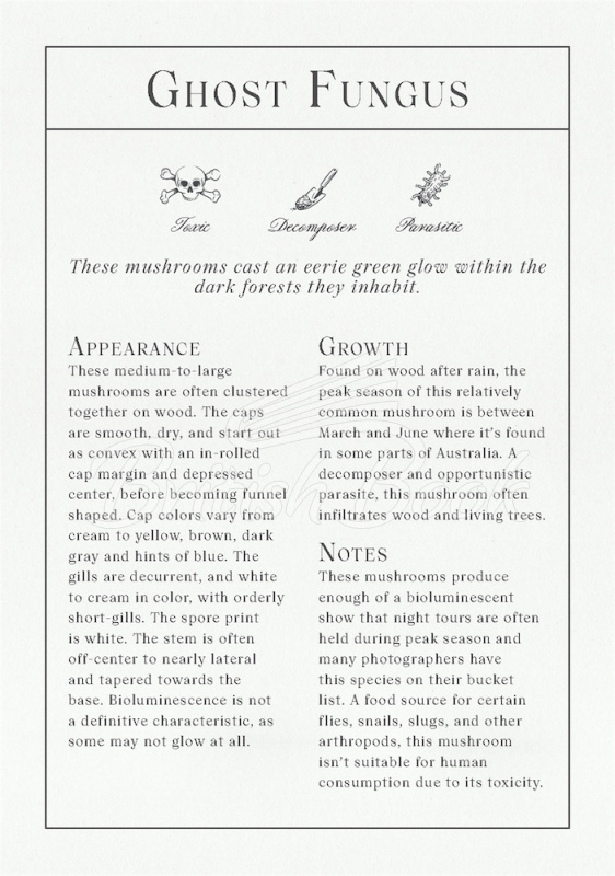Картки The Deck of Mushrooms зображення 7