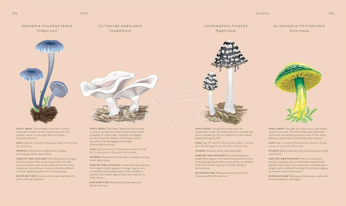 Книга Fungi изображение 6