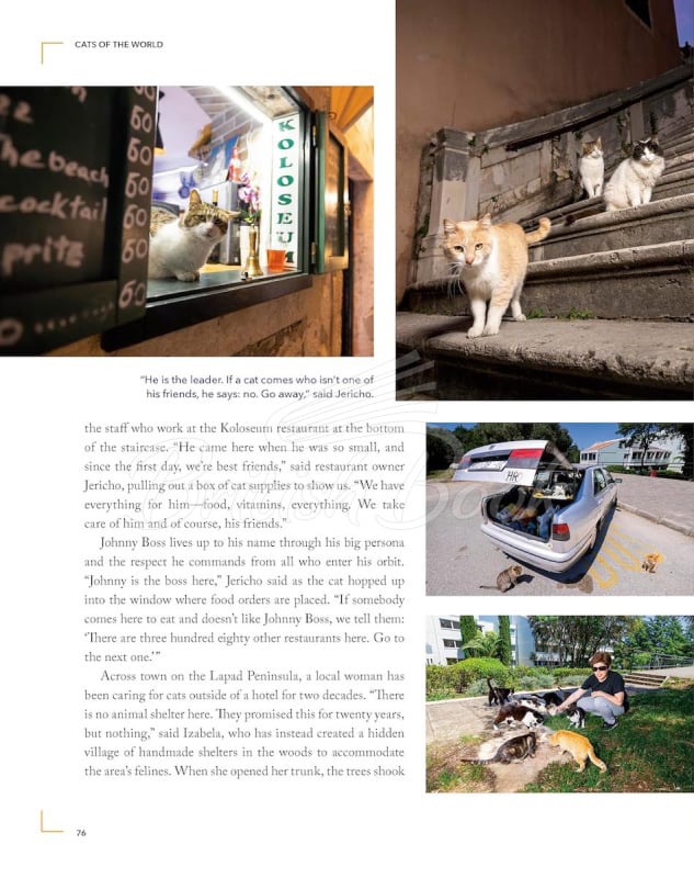 Книга Cats of the World изображение 7