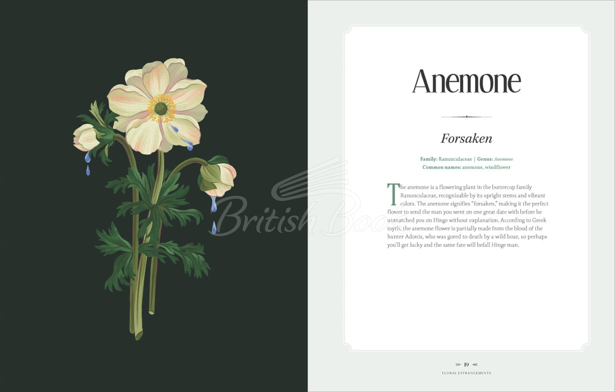 Книга Floral Estrangements:Taunt Your Rivals & Vanquish Your Enemies through the Language of Flowers зображення 8