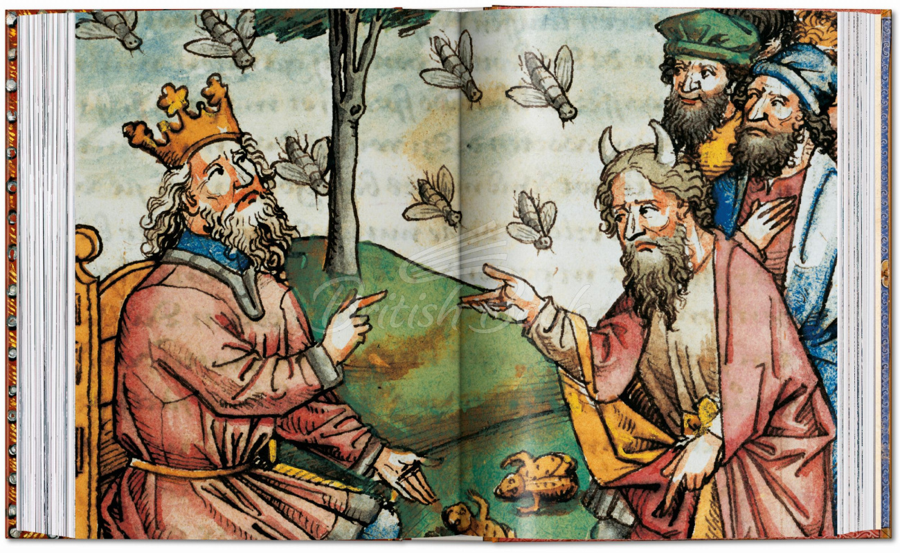 Книга The Book of Bibles изображение 5
