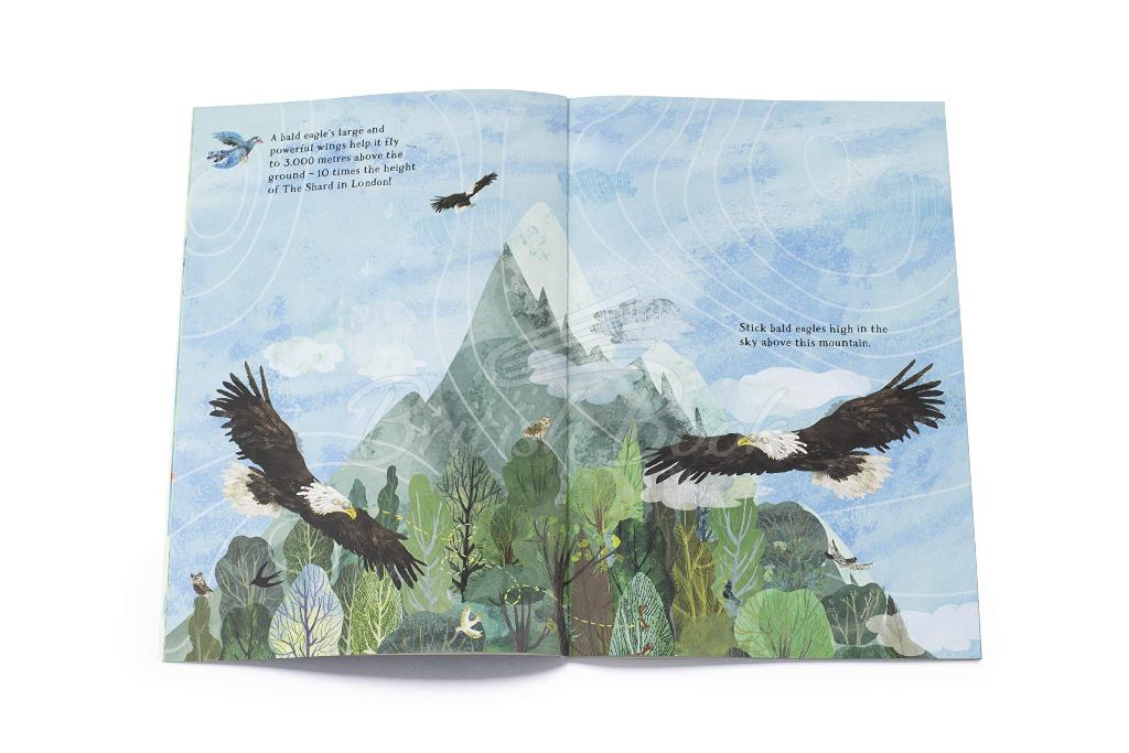 Книга The Big Sticker Book of Birds зображення 2