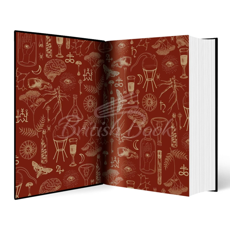 Книга Alchemised изображение 2