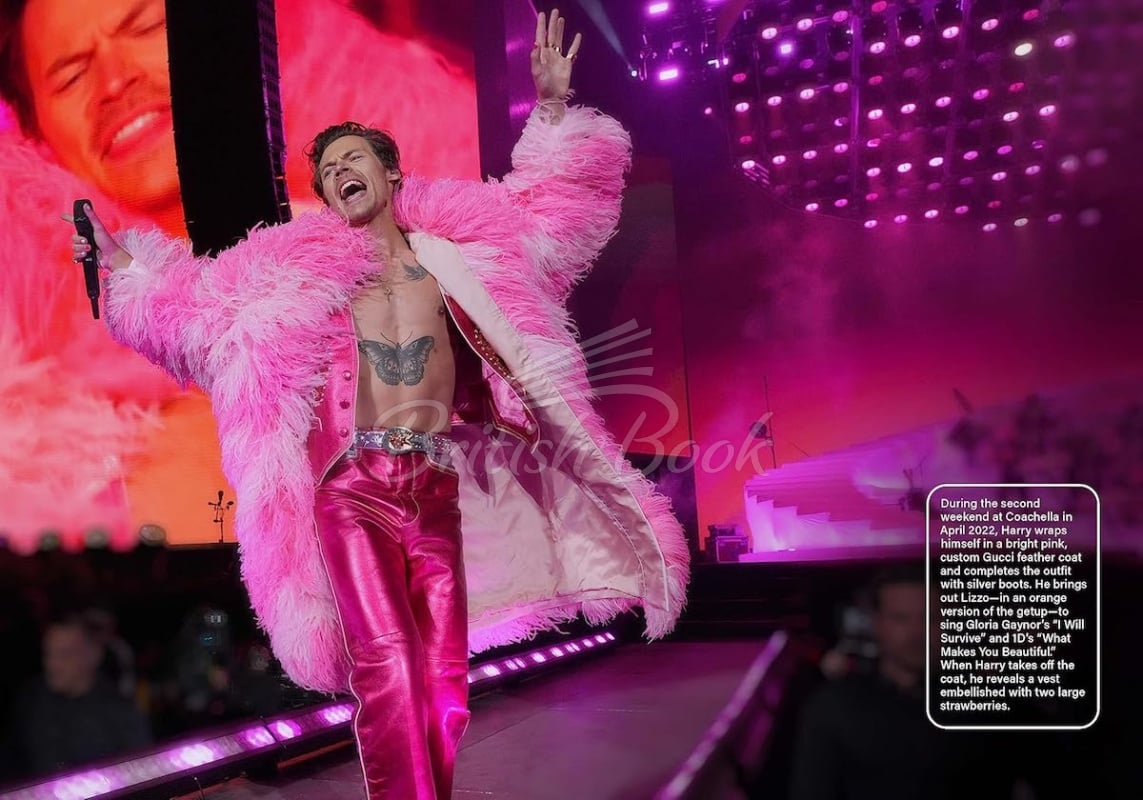 Книга Spotlight on a Legend: Harry Styles зображення 11