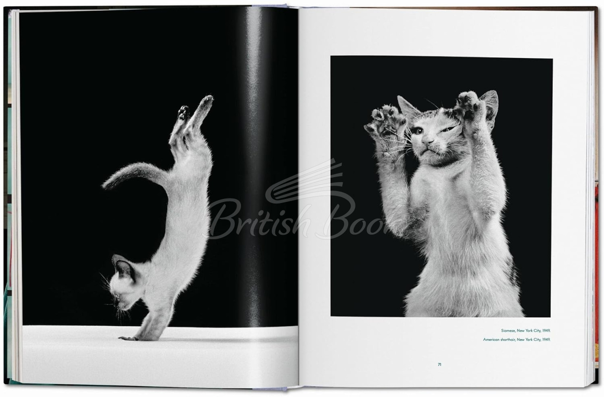 Книга Walter Chandoha. Cats. Photographs 1942–2018 зображення 8