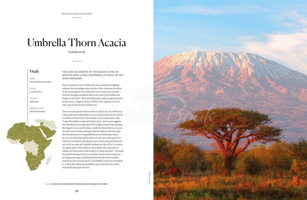 Книга The Tree Atlas зображення 3