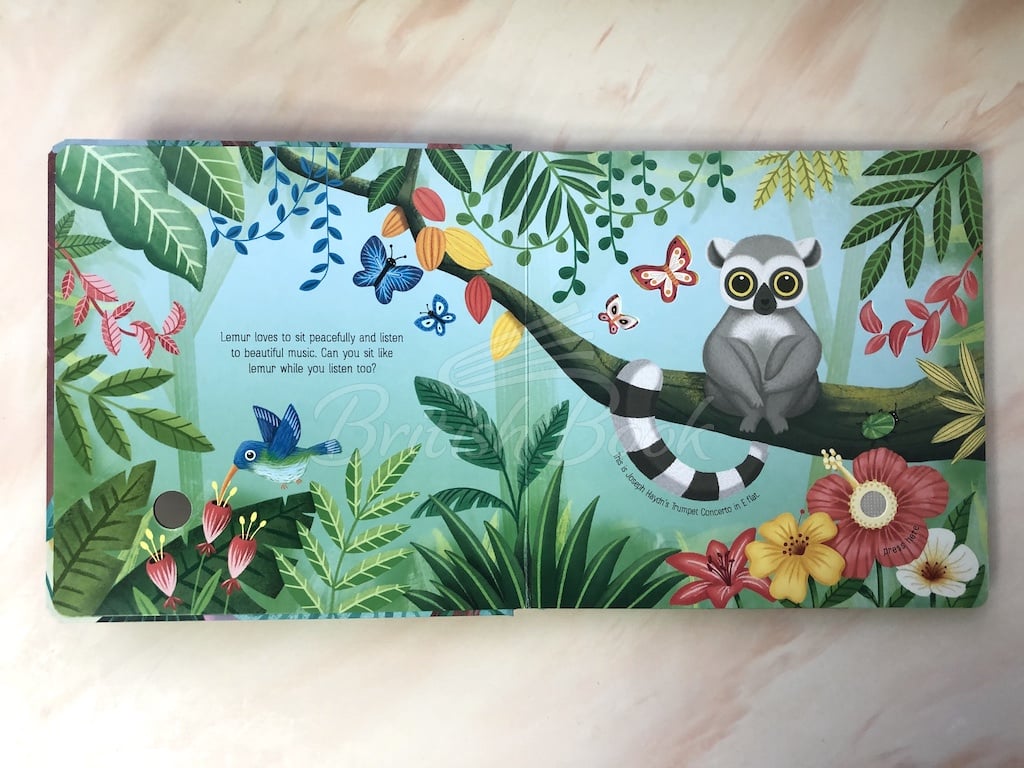 Книга Calming Music Book изображение 3