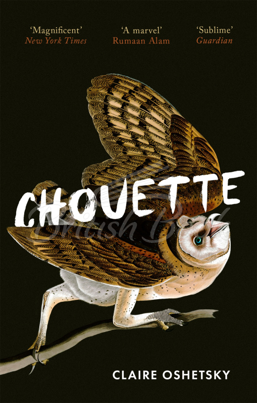 Книга Chouette зображення