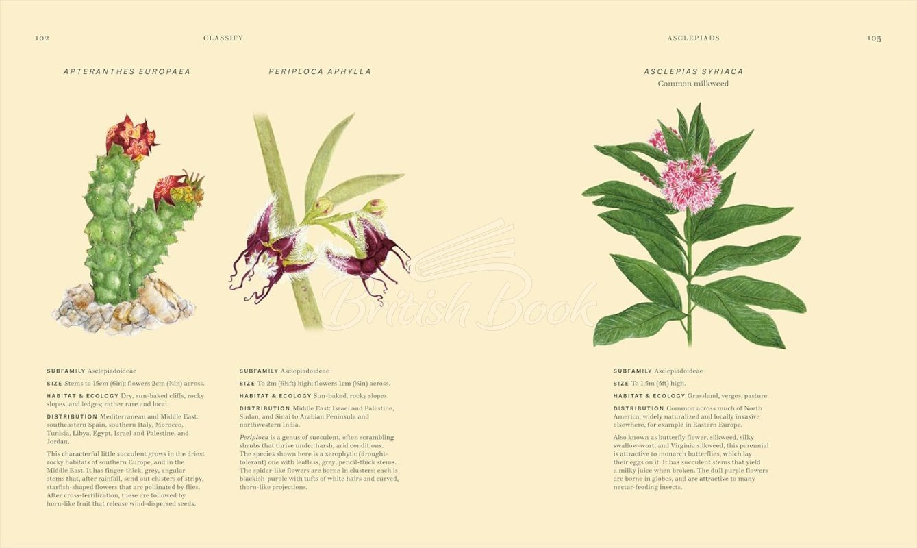 Книга Wildflowers: Discover the Science and Secrets Behind the World of Wildflowers зображення 7